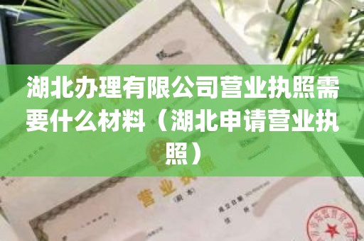 湖北办理有限公司营业执照需要什么材料（湖北申请营业执照）