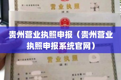 贵州营业执照申报（贵州营业执照申报系统官网）