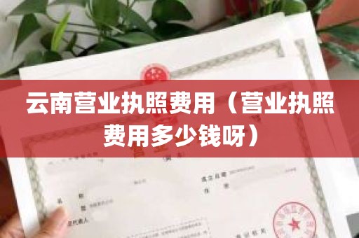 云南营业执照费用（营业执照费用多少钱呀）