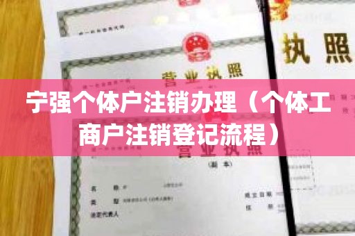 宁强个体户注销办理（个体工商户注销登记流程）