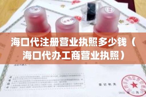 海口代注册营业执照多少钱（海口代办工商营业执照）