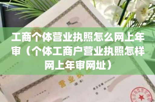 工商个体营业执照怎么网上年审（个体工商户营业执照怎样网上年审网址）