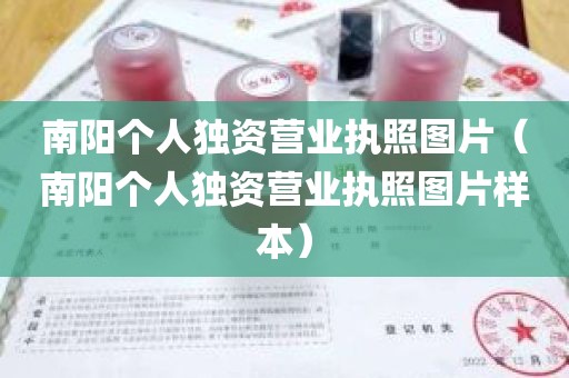 南阳个人独资营业执照图片（南阳个人独资营业执照图片样本）