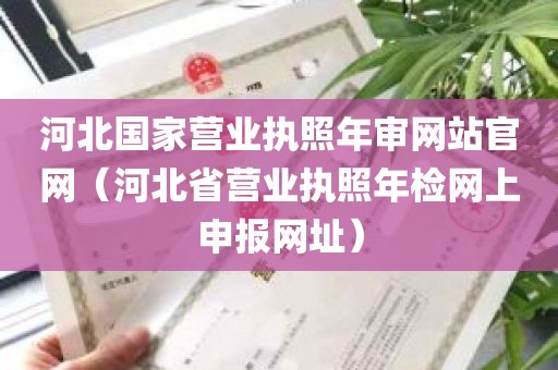 河北国家营业执照年审网站官网（河北省营业执照年检网上申报网址）