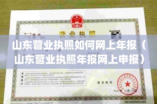 山东营业执照如何网上年报（山东营业执照年报网上申报）