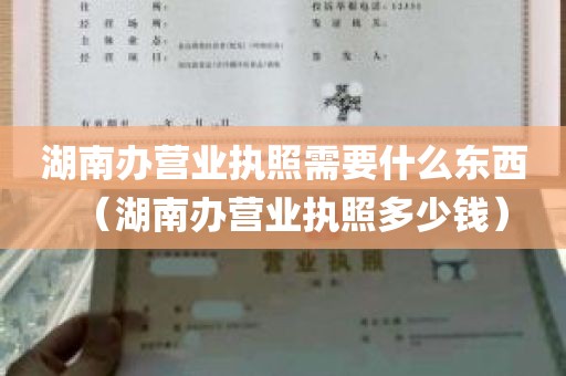 湖南办营业执照需要什么东西（湖南办营业执照多少钱）