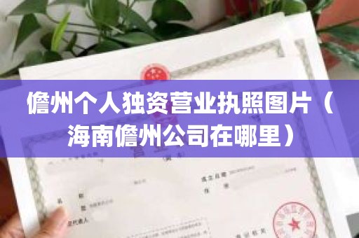 儋州个人独资营业执照图片（海南儋州公司在哪里）