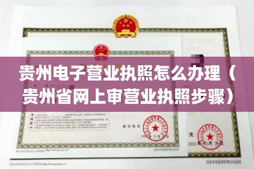 贵州电子营业执照怎么办理（贵州省网上审营业执照步骤）