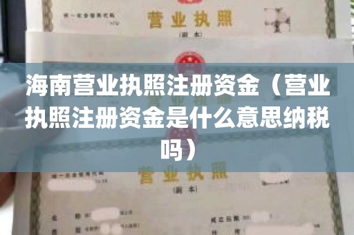 海南营业执照注册资金（营业执照注册资金是什么意思纳税吗）