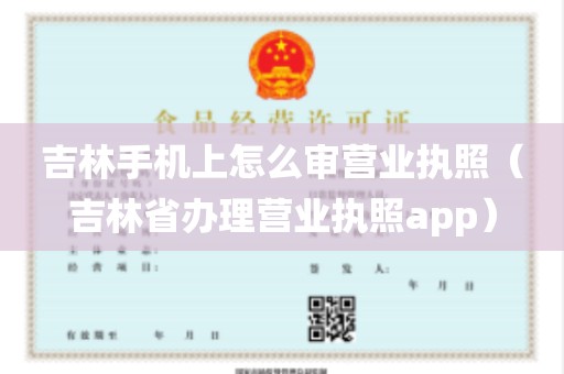 吉林手机上怎么审营业执照（吉林省办理营业执照app）