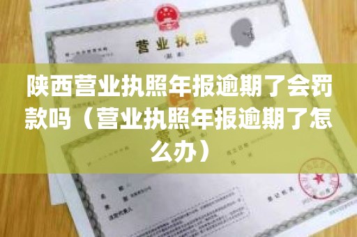 陕西营业执照年报逾期了会罚款吗（营业执照年报逾期了怎么办）