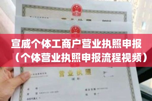 宣威个体工商户营业执照申报（个体营业执照申报流程视频）