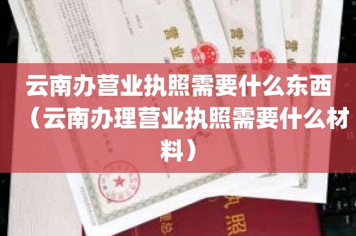 云南办营业执照需要什么东西（云南办理营业执照需要什么材料）