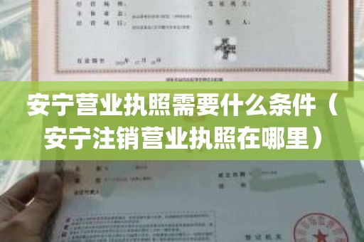 安宁营业执照需要什么条件（安宁注销营业执照在哪里）