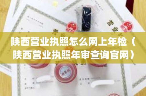 陕西营业执照怎么网上年检（陕西营业执照年审查询官网）