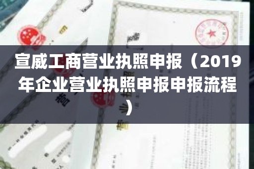 宣威工商营业执照申报（2019年企业营业执照申报申报流程）