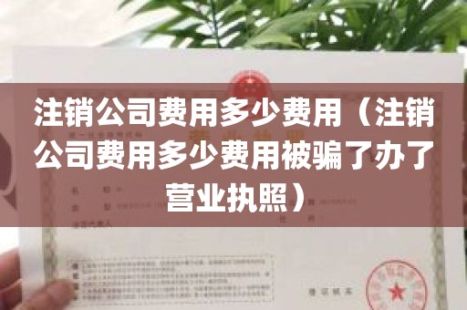 注销公司费用多少费用（注销公司费用多少费用被骗了办了营业执照）