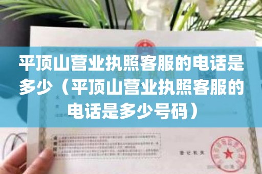 平顶山营业执照客服的电话是多少（平顶山营业执照客服的电话是多少号码）