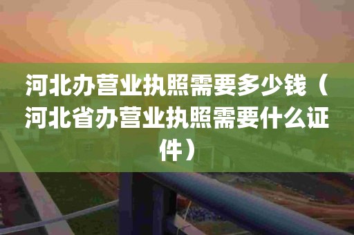 河北办营业执照需要多少钱（河北省办营业执照需要什么证件）