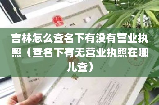 吉林怎么查名下有没有营业执照（查名下有无营业执照在哪儿查）