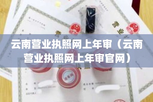 云南营业执照网上年审（云南营业执照网上年审官网）