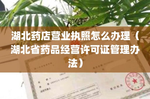 湖北药店营业执照怎么办理（湖北省药品经营许可证管理办法）