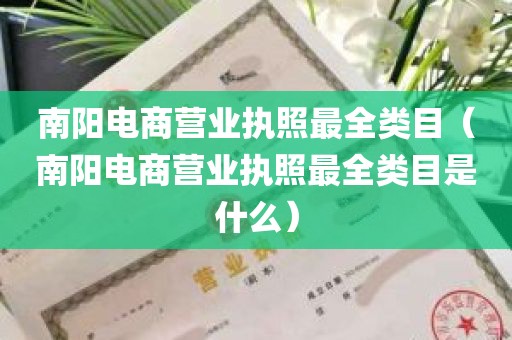 南阳电商营业执照最全类目（南阳电商营业执照最全类目是什么）