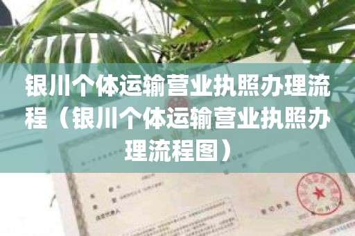 银川个体运输营业执照办理流程（银川个体运输营业执照办理流程图）