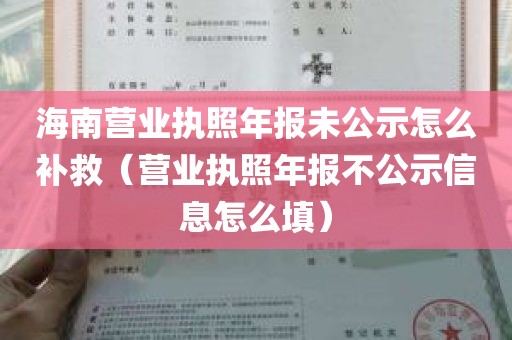 海南营业执照年报未公示怎么补救（营业执照年报不公示信息怎么填）