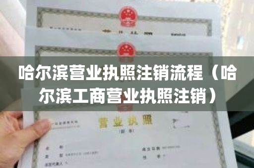 哈尔滨营业执照注销流程（哈尔滨工商营业执照注销）