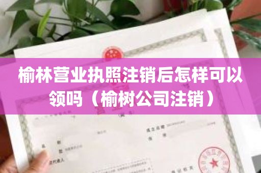 榆林营业执照注销后怎样可以领吗（榆树公司注销）