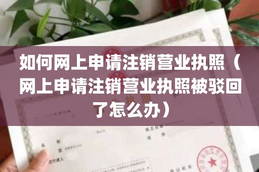 如何网上申请注销营业执照（网上申请注销营业执照被驳回了怎么办）