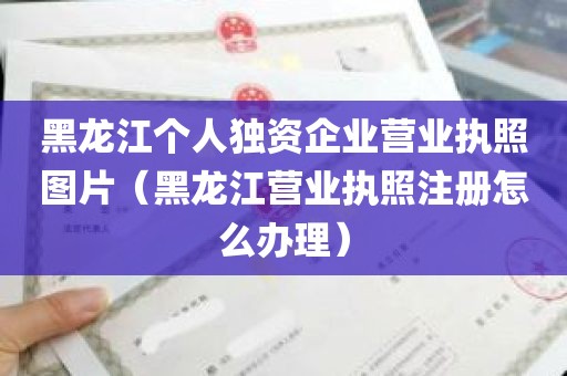 黑龙江个人独资企业营业执照图片（黑龙江营业执照注册怎么办理）