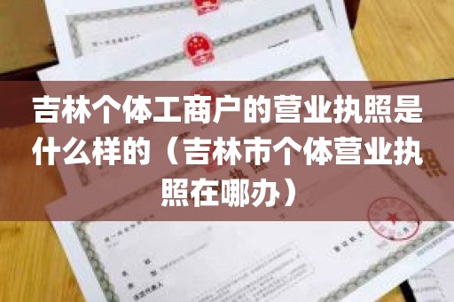 吉林个体工商户的营业执照是什么样的（吉林市个体营业执照在哪办）