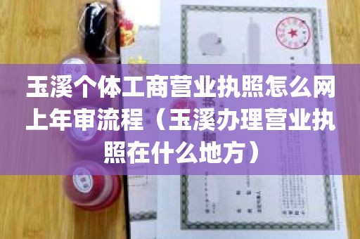 玉溪个体工商营业执照怎么网上年审流程（玉溪办理营业执照在什么地方）