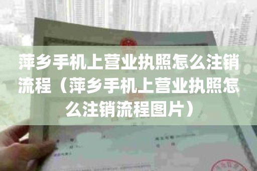 萍乡手机上营业执照怎么注销流程（萍乡手机上营业执照怎么注销流程图片）