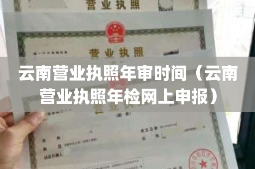 云南营业执照年审时间（云南营业执照年检网上申报）