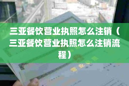 三亚餐饮营业执照怎么注销（三亚餐饮营业执照怎么注销流程）