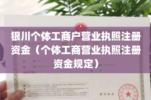 银川个体工商户营业执照注册资金（个体工商营业执照注册资金规定）