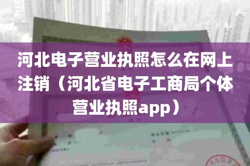 河北电子营业执照怎么在网上注销（河北省电子工商局个体营业执照app）