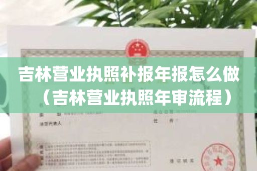 吉林营业执照补报年报怎么做（吉林营业执照年审流程）