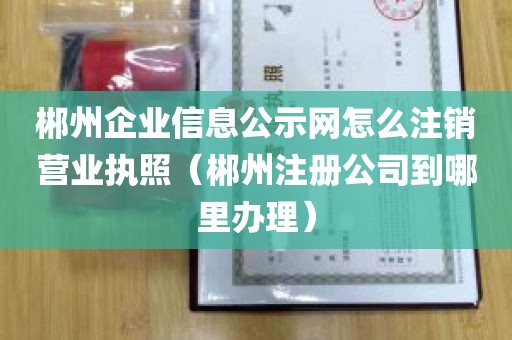 郴州企业信息公示网怎么注销营业执照（郴州注册公司到哪里办理）