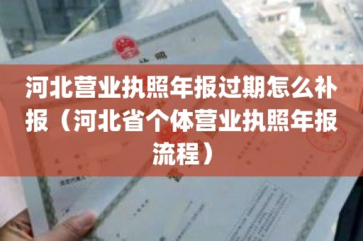 河北营业执照年报过期怎么补报（河北省个体营业执照年报流程）