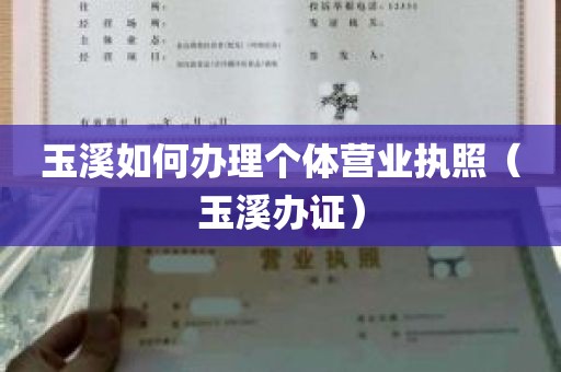 玉溪如何办理个体营业执照（玉溪办证）