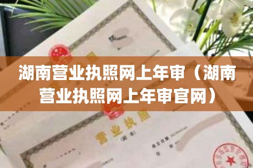 湖南营业执照网上年审（湖南营业执照网上年审官网）