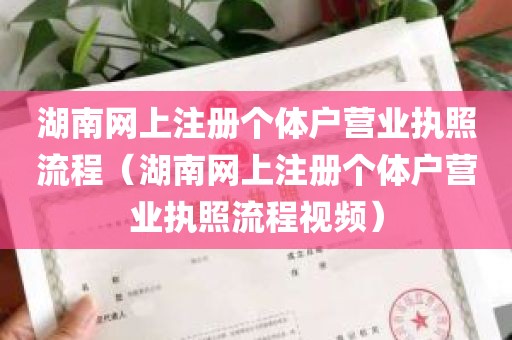 湖南网上注册个体户营业执照流程（湖南网上注册个体户营业执照流程视频）