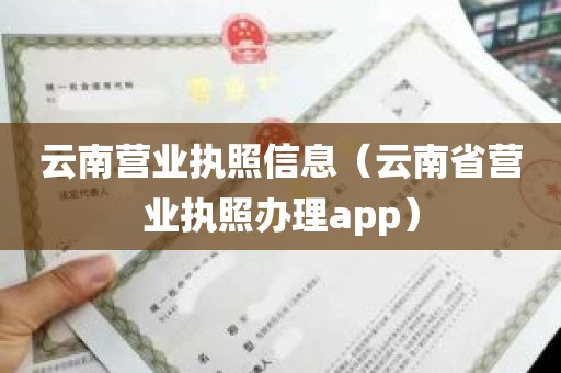 云南营业执照信息（云南省营业执照办理app）