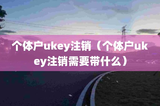 个体户ukey注销（个体户ukey注销需要带什么）