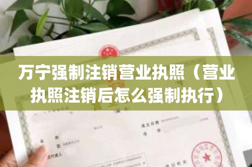 万宁强制注销营业执照（营业执照注销后怎么强制执行）