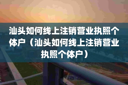 汕头如何线上注销营业执照个体户（汕头如何线上注销营业执照个体户）